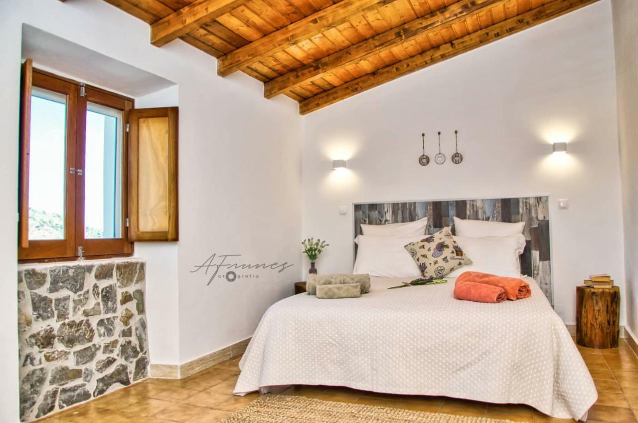 莫托拉Casa Da Oliveirinha别墅 外观 照片