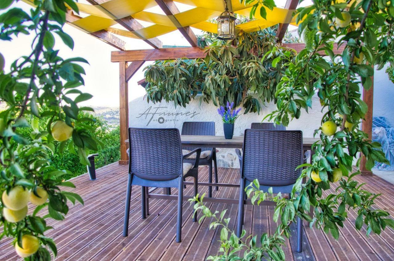莫托拉Casa Da Oliveirinha别墅 外观 照片